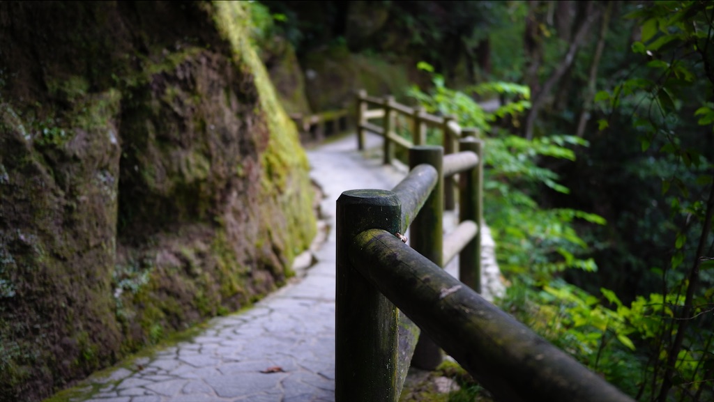 f:id:midunoiro:20200923230832j:image f:id:midunoiro:20200923230832j:image