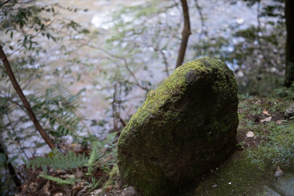 f:id:midunoiro:20200924224442j:image f:id:midunoiro:20200924224442j:image