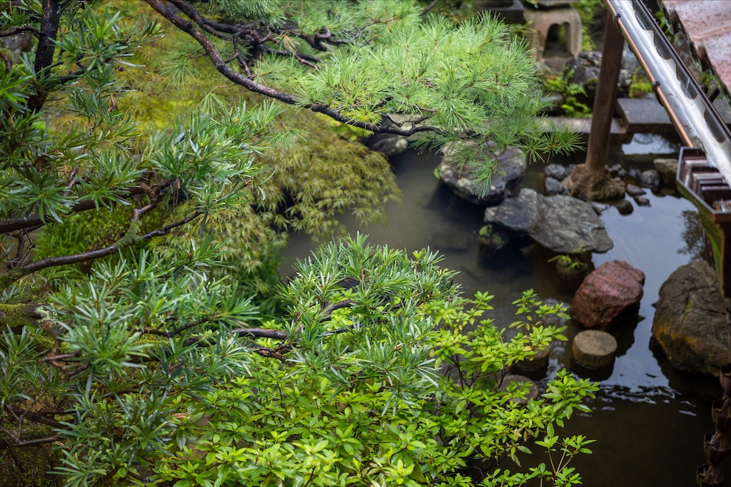 f:id:midunoiro:20200925195600j:image