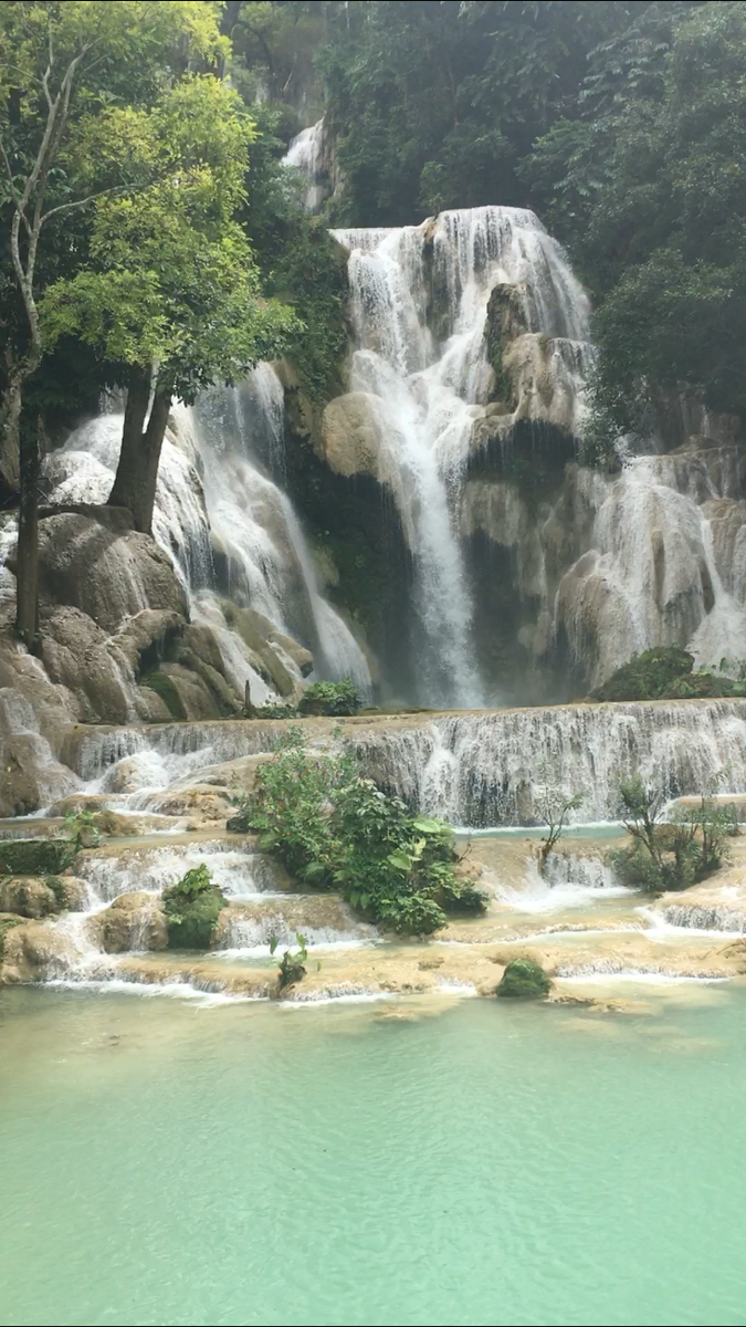 f:id:midwife-kayo:20190824141342p:plain f:id:midwife-kayo:20190824141342p:plain