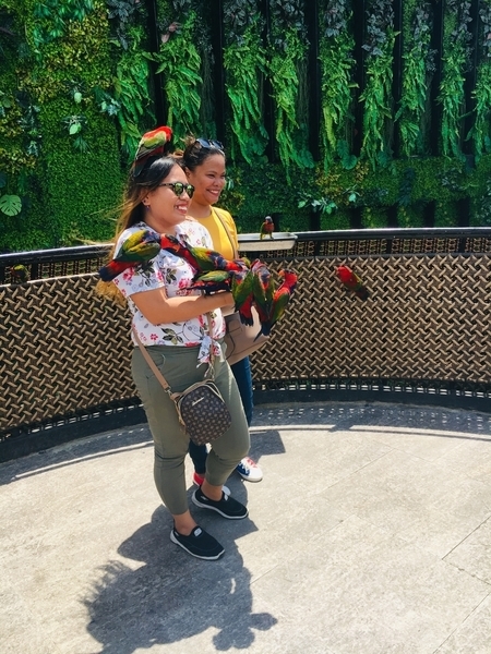 f:id:midwife-kayo:20191020155245j:plain f:id:midwife-kayo:20191020155245j:plain