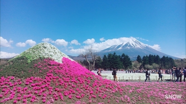 f:id:midwife-kayo:20200510113111j:plain f:id:midwife-kayo:20200510113111j:plain