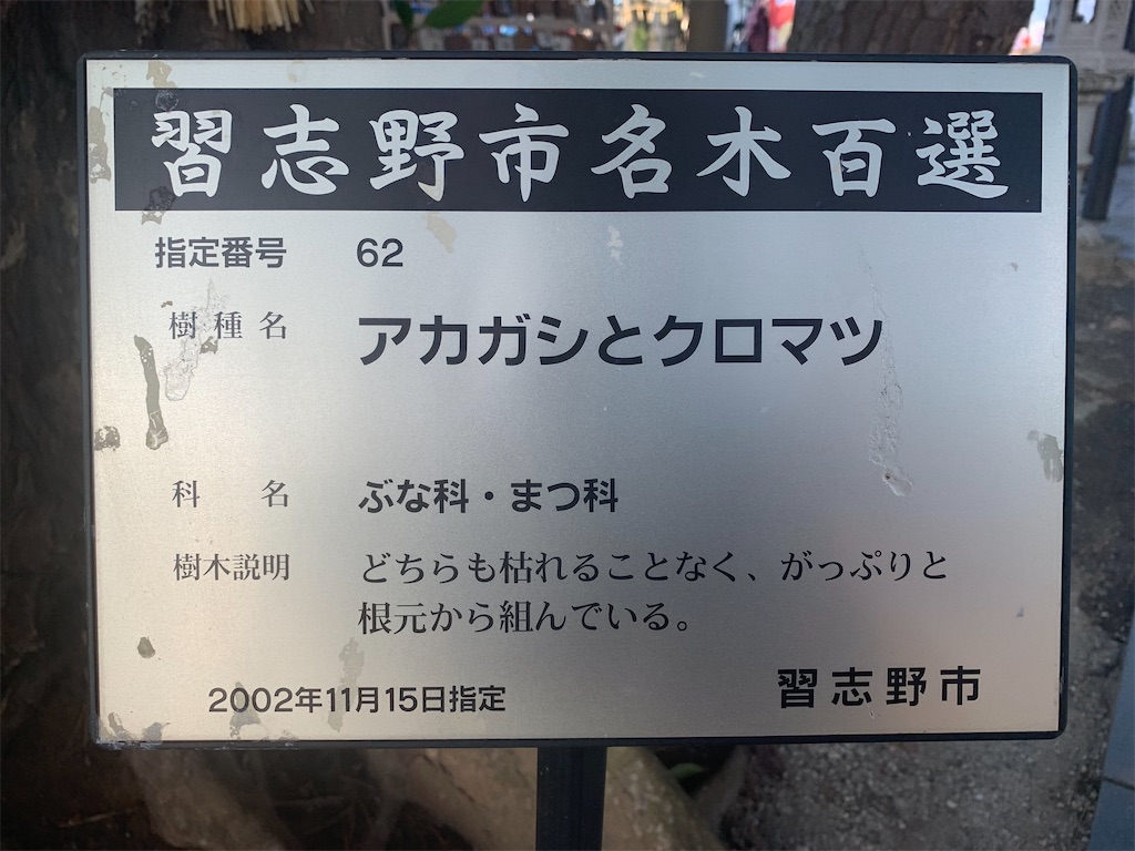 f:id:mie-mai:20191229165610j:image