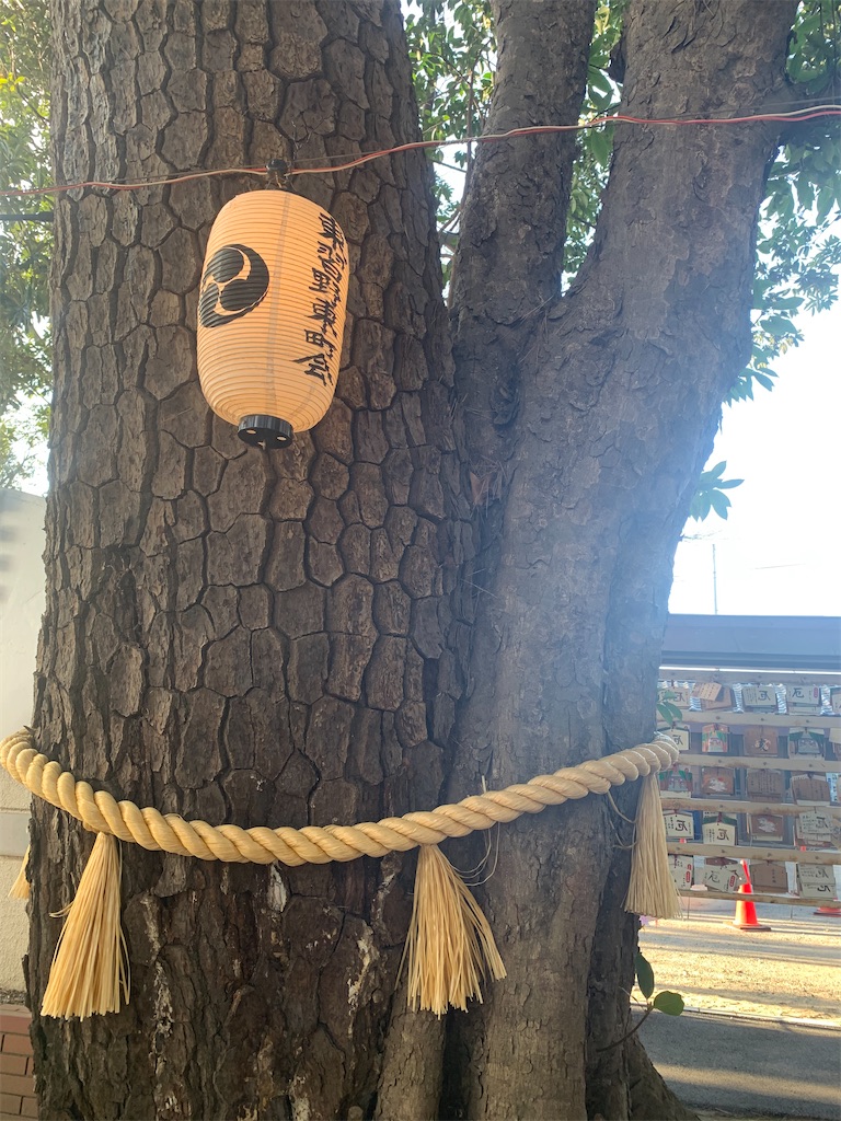 f:id:mie-mai:20191229165630j:image