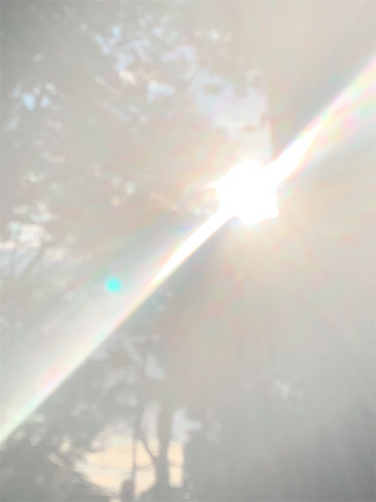 f:id:mie-mai:20191229165648j:image