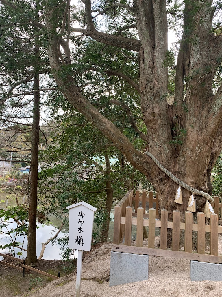 f:id:mie-mai:20200104214421j:image