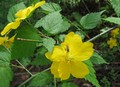 20080509133712