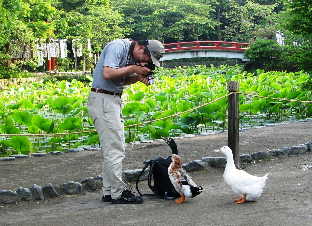モデル