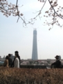 20100406104538