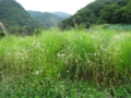 20110730112812