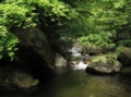 20110731143136