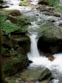 20110801120733