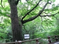20110801121300