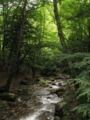 20110801123529