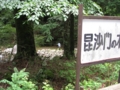 毘沙門の木
