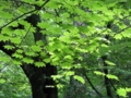 20110801135907
