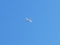 20120412165210
