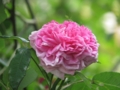 20120517150058