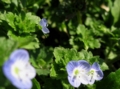 20130315140956