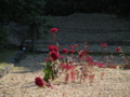 20130919143715