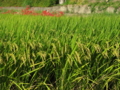 20130919153710