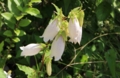 20140615144421