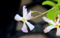 20140615144754