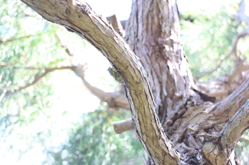 20140807143129
