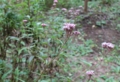 20141008145101