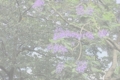 20150614150031