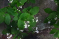 20170502173242