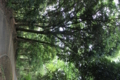 20170506164148