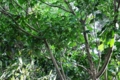 20170506164310
