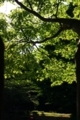 20170604162028