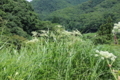 20170805124415