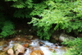 20170805140609