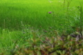 20170806102042
