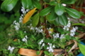 20180424091547