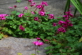 20180424091636