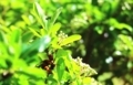 20180426141928