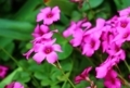 20180427120520