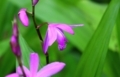 20180427120646