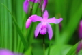20180427120706