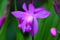 20180427120758