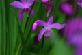 20180427120840