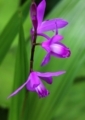 20180427121137