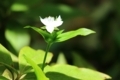 20180512100548