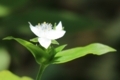 20180512100646