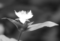 20180512100704