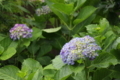 20180523142903